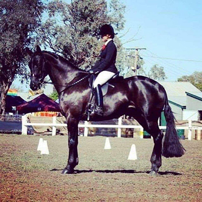 Noble Bend Fashionista